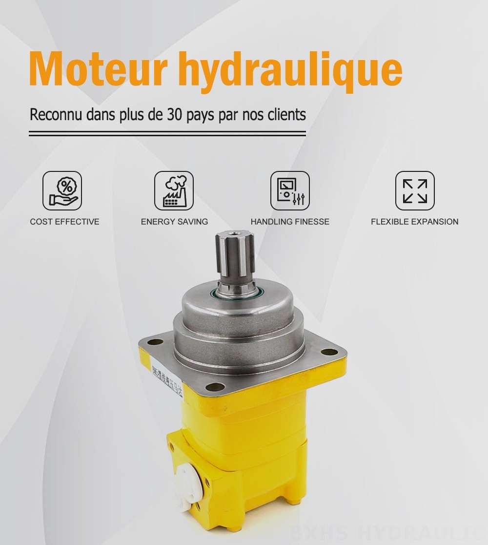 Moteur hydraulique cycloïdal BM5W 195 cm³/tr 75 L/min Moteur hydraulique